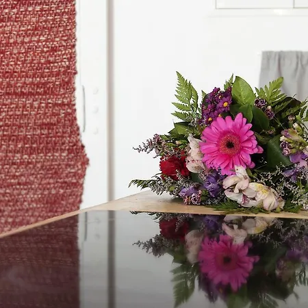 Apartamento Alfama - St Estevao Viewpoint | Cheese & Wine *