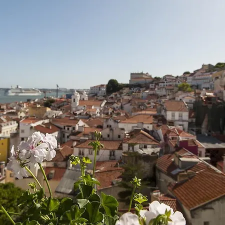 Alfama - St Estevao Viewpoint | Cheese & Wine * Lisbon